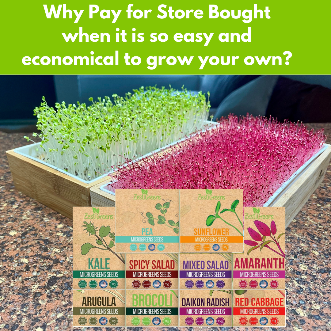 Organic Variety Pack Microgreens Seeds