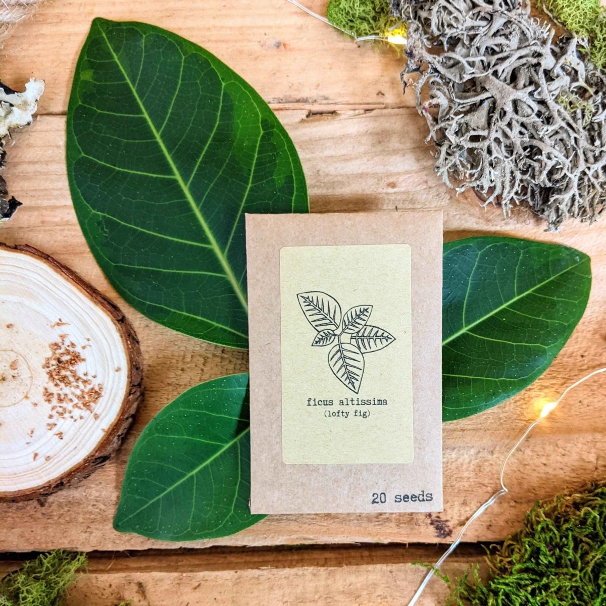 "Grow your own Jungle" Houseplant Seed Collection