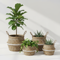Woven Seagrass Basket Planters Set of 3