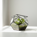 Geometric Terrarium with Lid