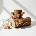 Shiitake Mushroom Log Kit