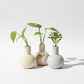 Minimalist Ceramic Propagation Vase Set