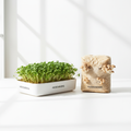 Microgreen & Mushroom Duo Kit