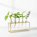 Glass Propagation Station 5-Tube